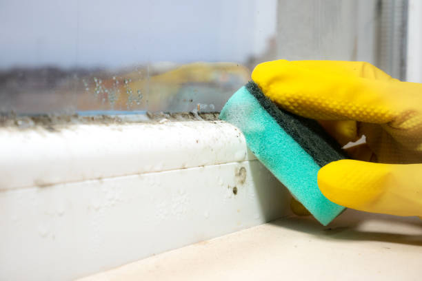 Best Industrial Mold Remediation in Glenpool, OK