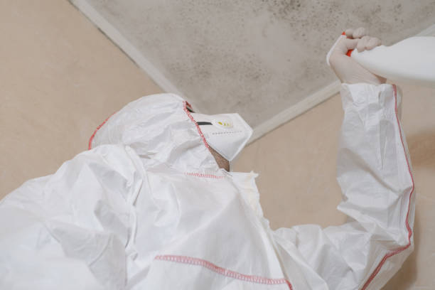 Best Mold Testing and Inspection Services in Glenpool, OK