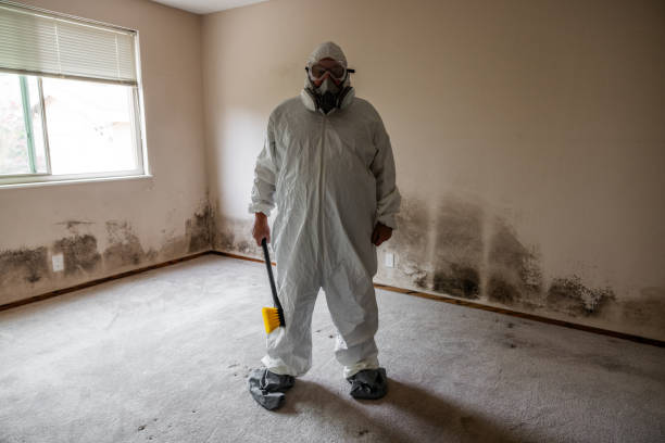 Best Post-Flood Mold Remediation in Glenpool, OK