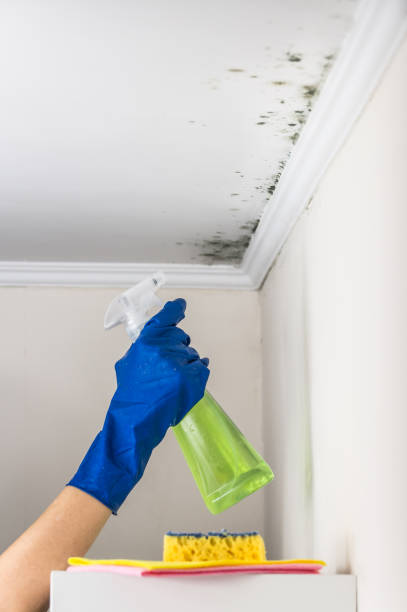Best Kitchen Mold Remediation in Glenpool, OK
